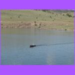 Boat In Panguitch Lake.jpg